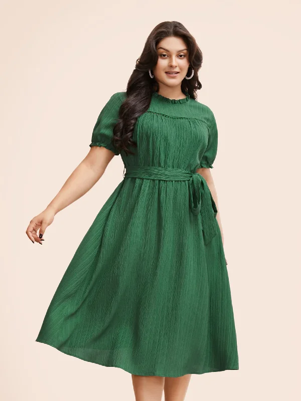 Textured Frill Trim Puff Sleeve Dress